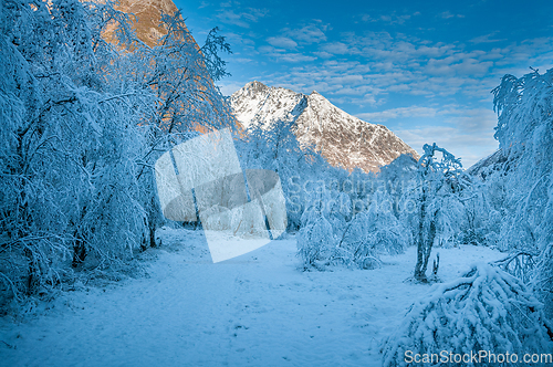 Image of winter mountain landscape