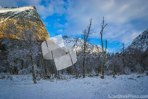 Image of snow covered mountains