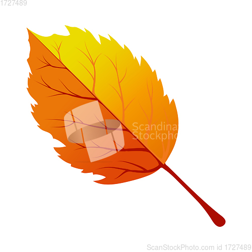 Image of Autumn Tree Leaf