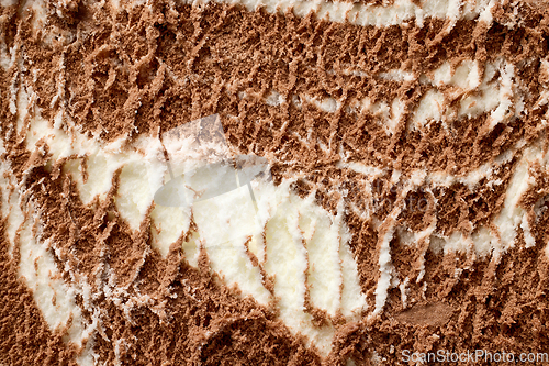 Image of vanilla and chocolate ice cream