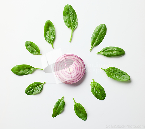 Image of red onion and spinach leaves