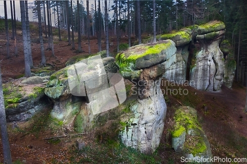 Image of Rock formations Glazy Krasnoludkow in Poland