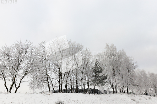 Image of Snow drifts in winter