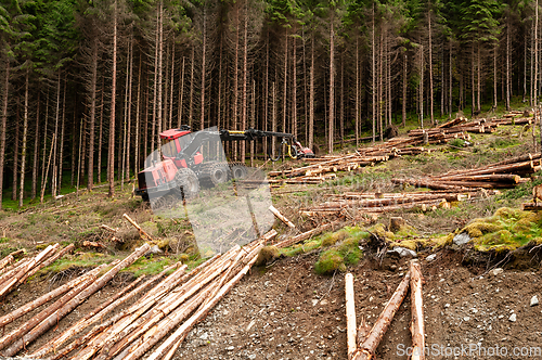 Image of forest machine at work in the forest