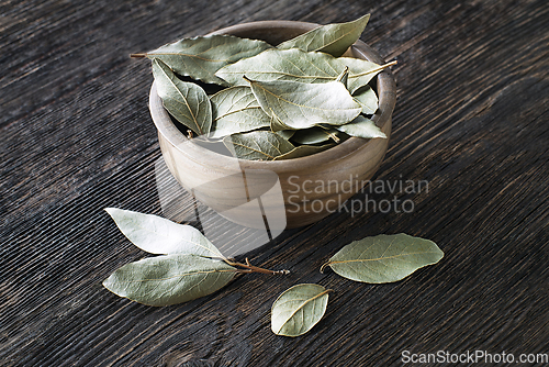 Image of Bay leaf