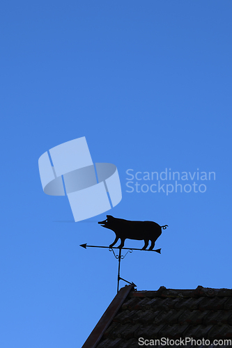 Image of Pig Shaped Wind Vane Against Blue Sky