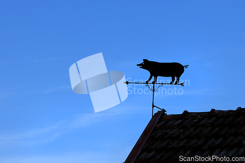 Image of Pig Shaped Wind Vane Against Blue Sky