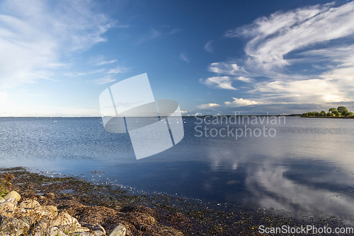 Image of The landscape with the sea, swans, trees and stones, the coast o