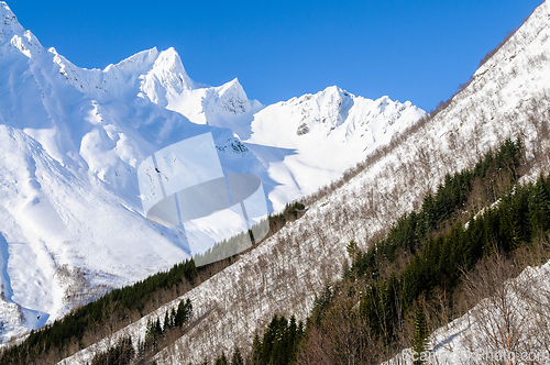 Image of snowy mountains with trees and blue sky