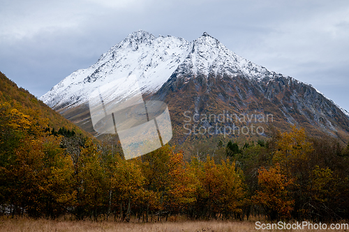 Image of autumn mood with snow-covered mountains