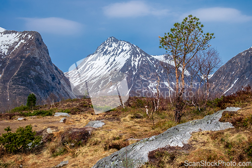 Image of mountain peak with furrow in the foreground