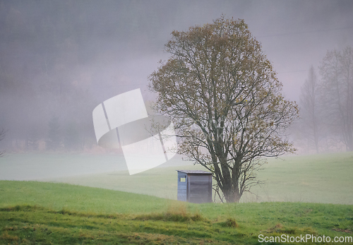 Image of fog on tree and hunting hut