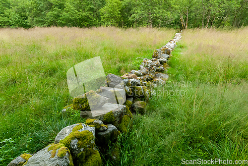 Image of old stone fence in the forest
