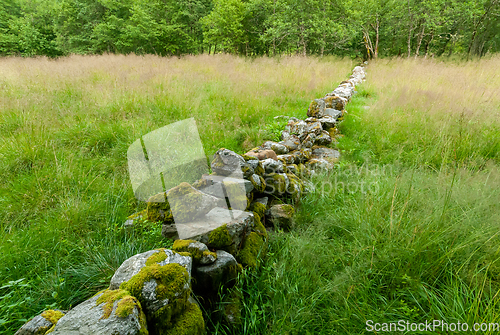 Image of old stone fence in the forest