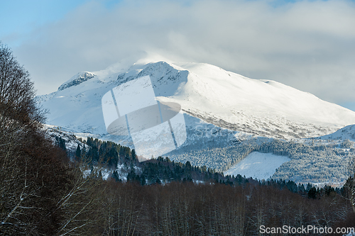 Image of snowy mountains and forests