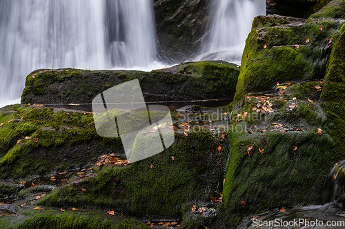 Image of autumn mood in flowing stream with leaves