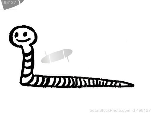 Image of worm