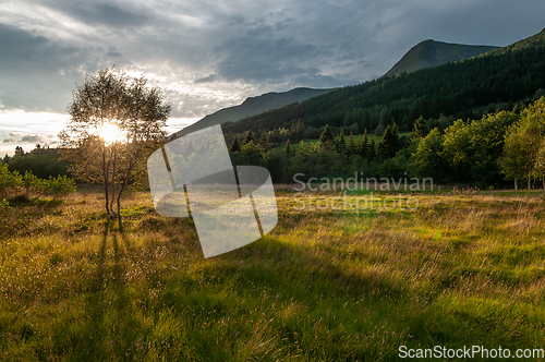 Image of landscape in sunset and mountains