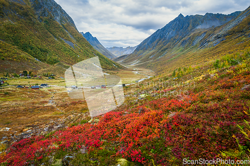 Image of autumn colors in a valley in the mountains