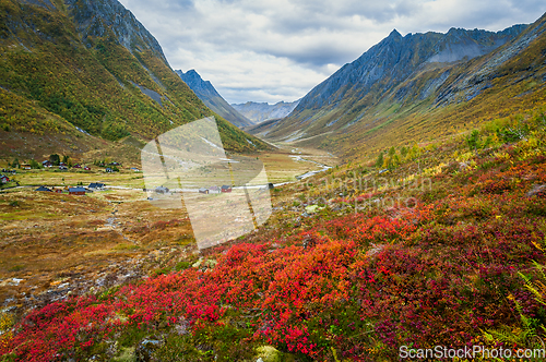 Image of autumn colors in a valley in the mountains