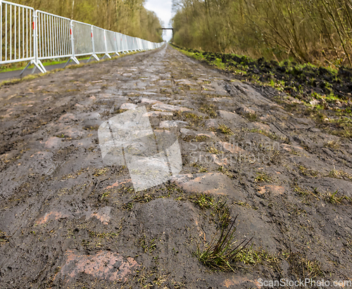 Image of Pave d'Arenberg