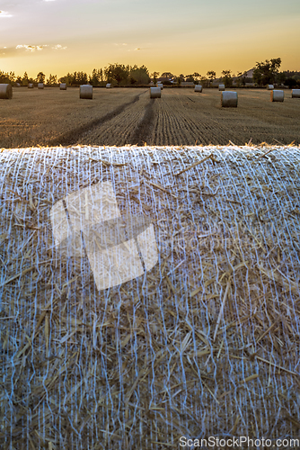 Image of Landscape with field and straw bales at sunset.