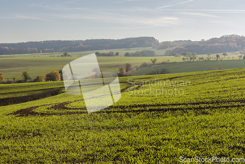 Image of Autumn landscape with fields and trees