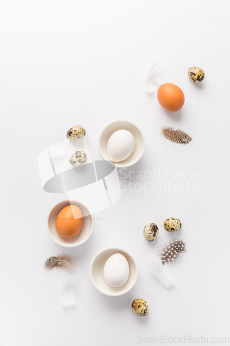 Image of Different eggs with feathers for Easter on white background