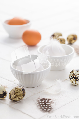 Image of Different eggs with feathers for Easter on white background