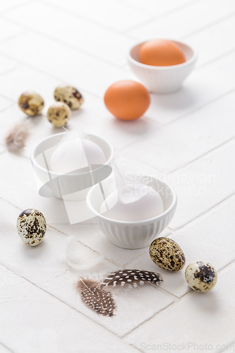 Image of Different eggs with feathers for Easter on white background