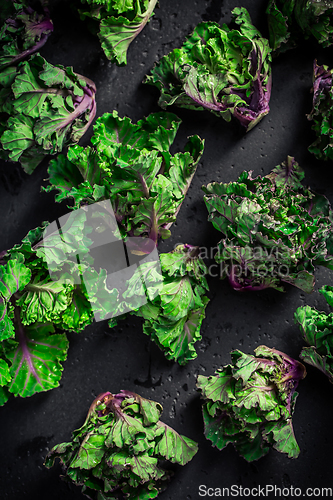 Image of Kalette, kale sprouts, flower sprouts on black background. Heath