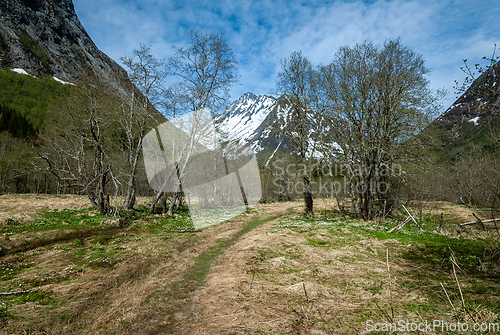 Image of path that leads towards Vassdalstinden in spring