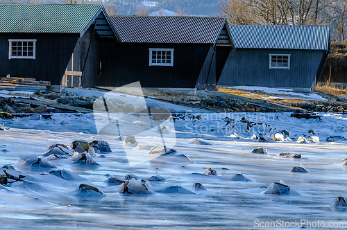 Image of frozen sea with rocks sticking up in front of the boathouse