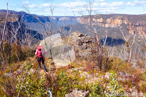 Image of Walking through bushland in upper Blue Mountains