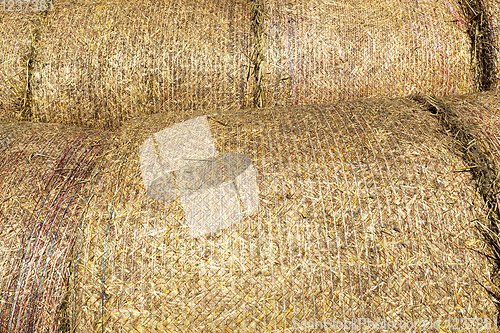 Image of stacks of golden fresh straw s