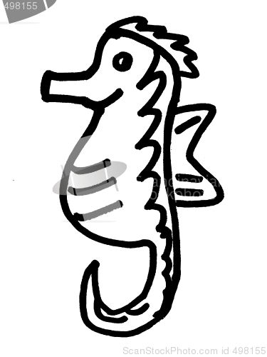 Image of seahorse