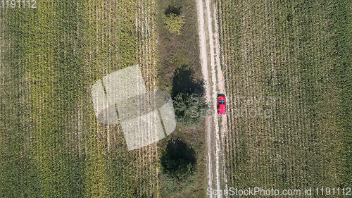 Image of Car drives on the road between two big fields with green wheat. Agriculture landscape.