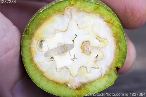 Image of walnut kernel