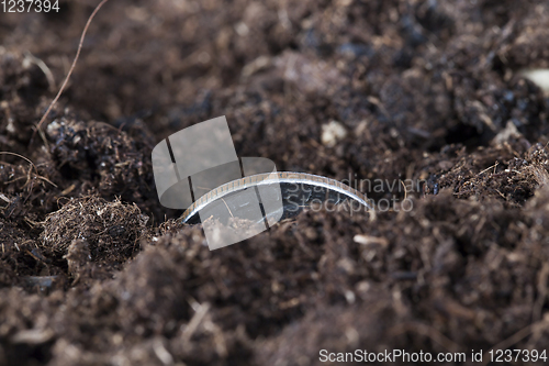 Image of coin soil american