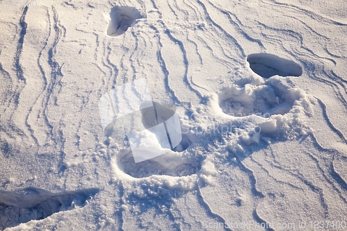 Image of drifts in winter