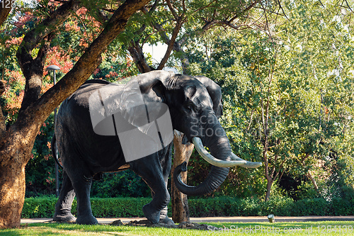 Image of Elephant statue Sun City, Lost City in South Africa