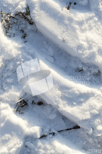Image of Snow after snowfall