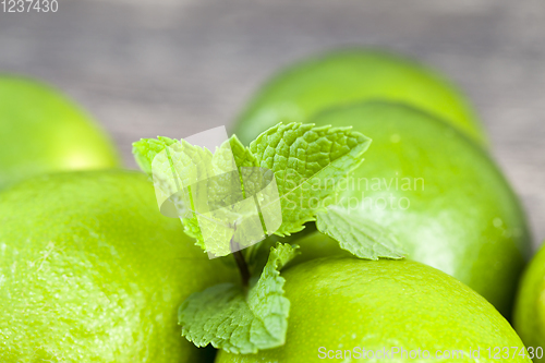 Image of green lime and mint