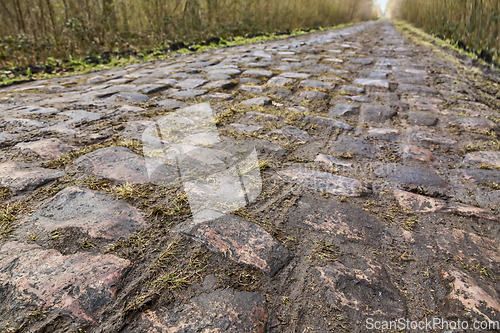 Image of Pave d'Arenberg