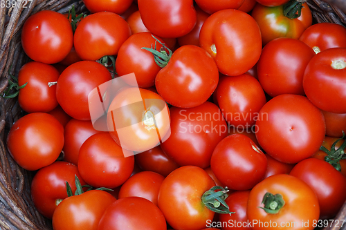 Image of fresh tomatoes texture