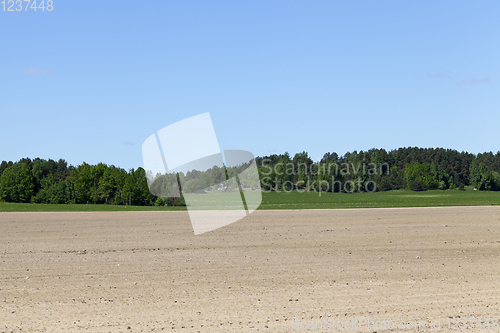 Image of landscape sky