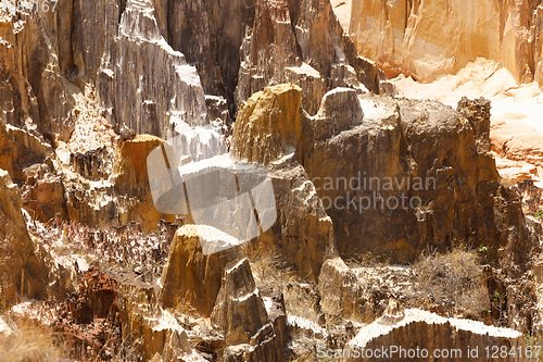 Image of Ankarokaroka canyon in Ankarafantsika, Madagascar