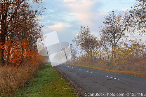 Image of misty roan in Hungarian puszta