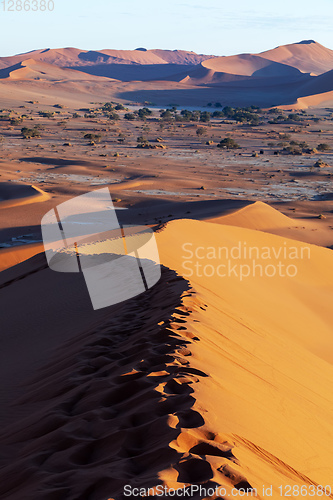 Image of Dead Vlei landscape in Sossusvlei, Namibia