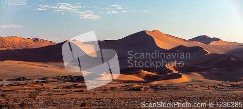 Image of Dead Vlei landscape in Sossusvlei, Namibia